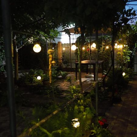 Casa De Vacanta Rodica Сулина Екстериор снимка
