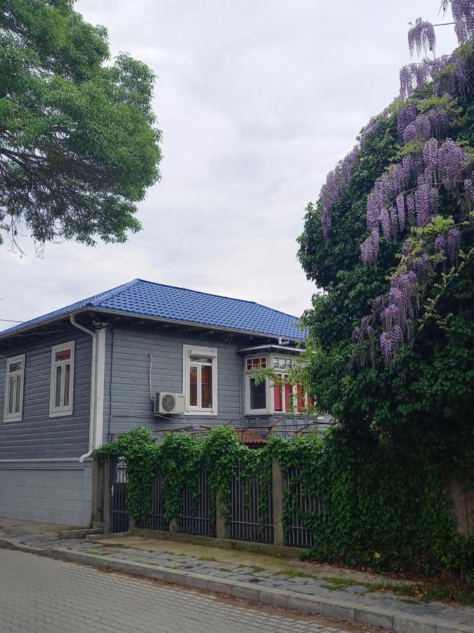 Casa De Vacanta Rodica Сулина Екстериор снимка