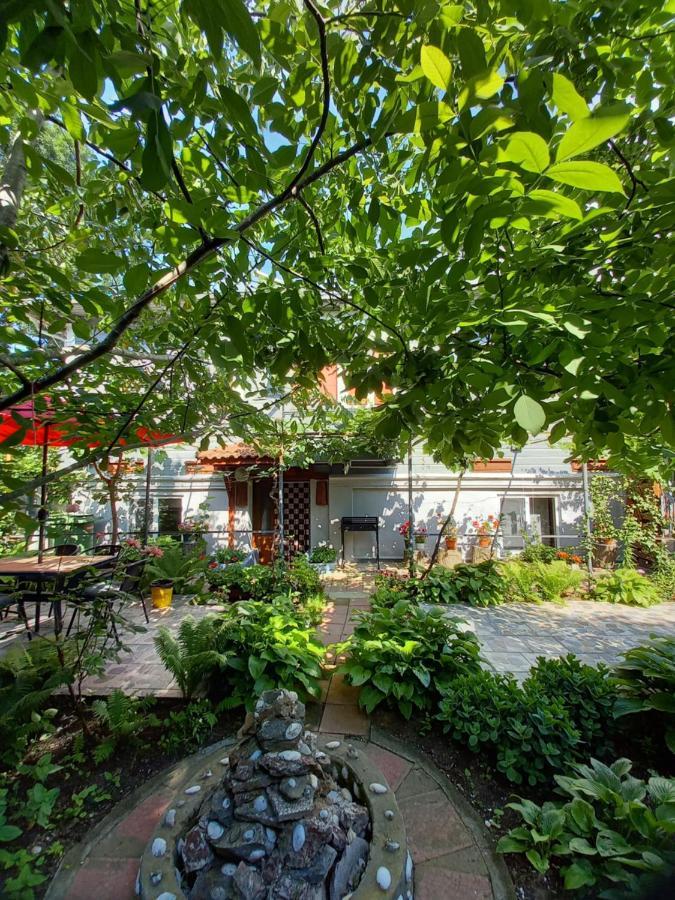 Casa De Vacanta Rodica Сулина Екстериор снимка