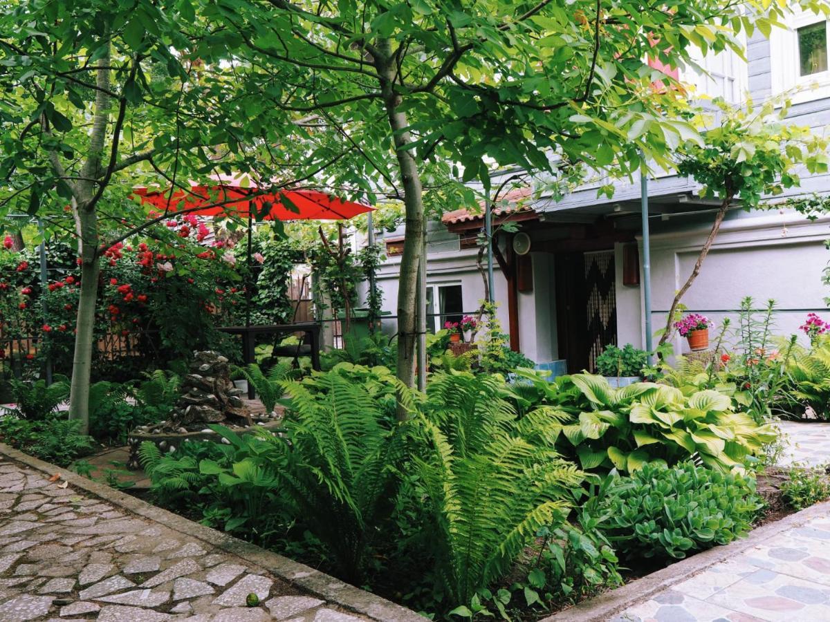 Casa De Vacanta Rodica Сулина Екстериор снимка