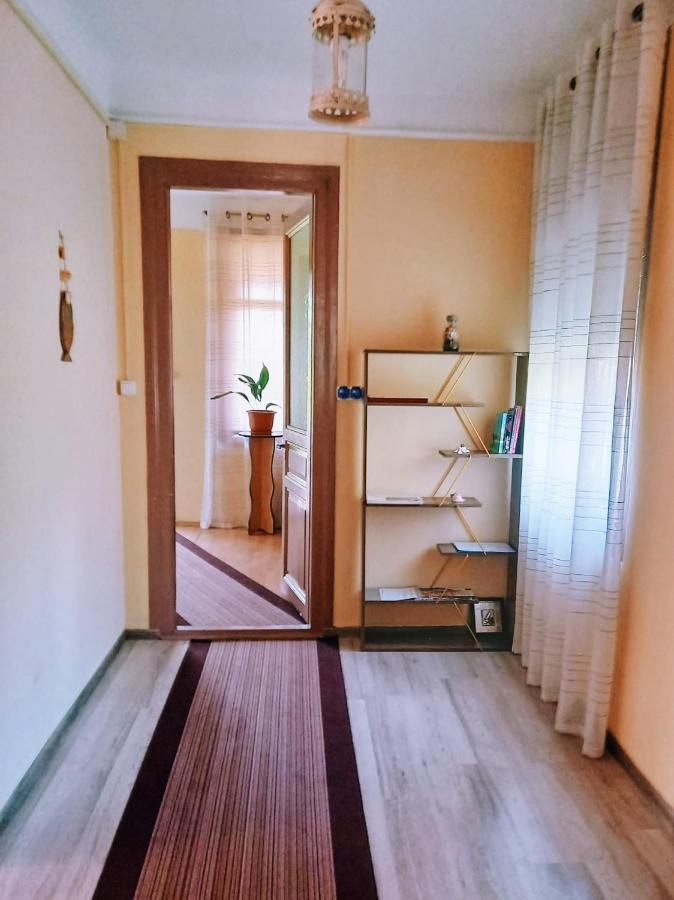 Casa De Vacanta Rodica Сулина Екстериор снимка